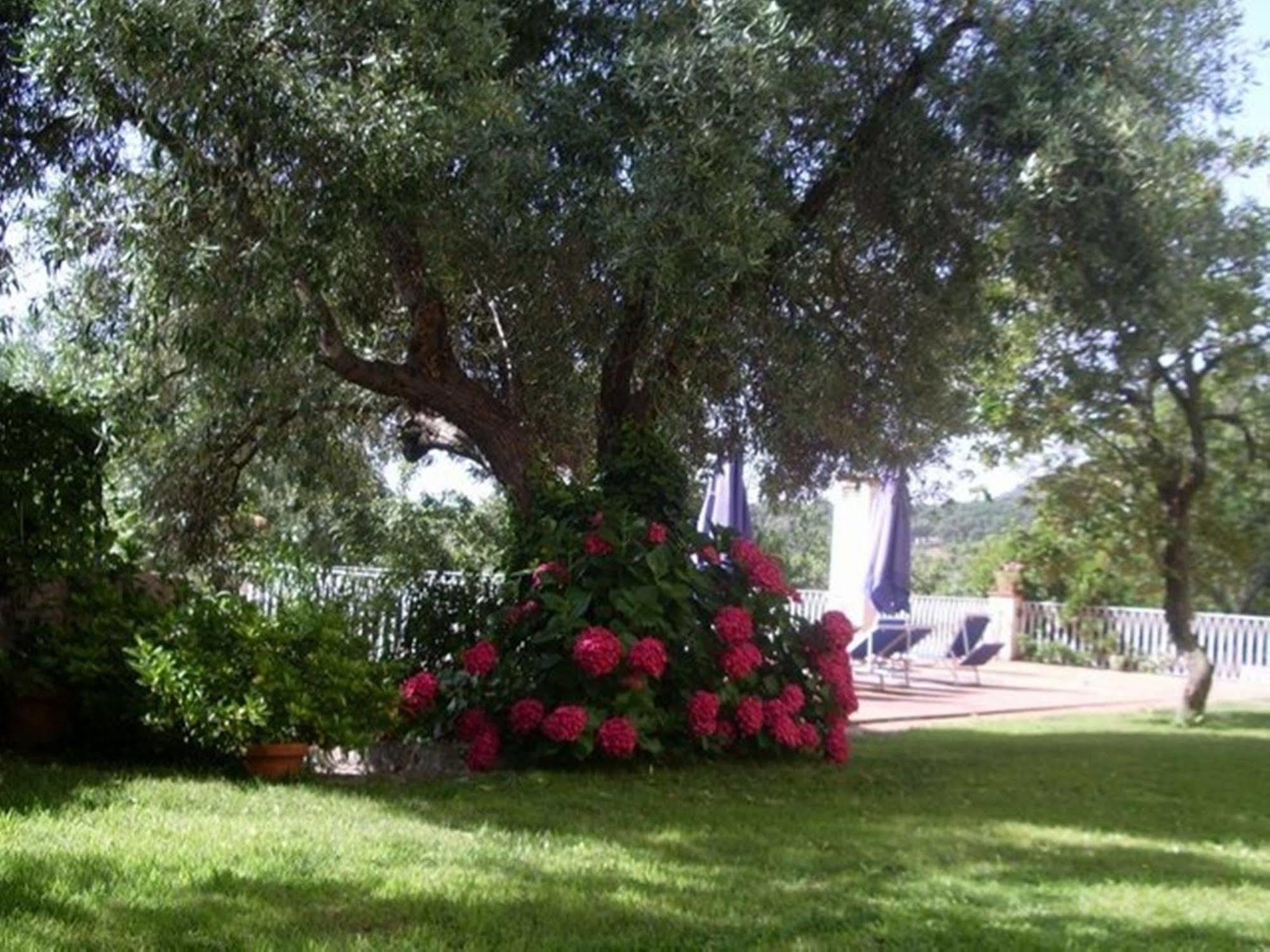 La Vignaredda - Residenza Di Charme Hotel Aggius Buitenkant foto