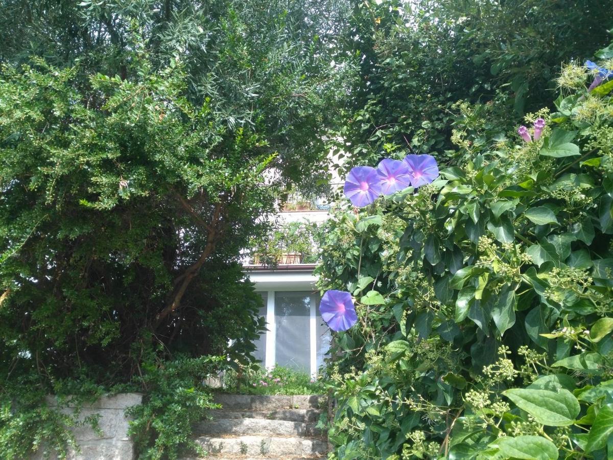 La Vignaredda - Residenza Di Charme Hotel Aggius Buitenkant foto